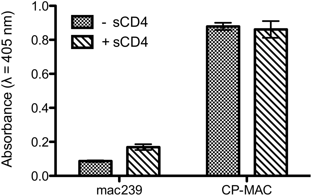 ELISA analysis comparing the binding of 7D3 to either SIVmac239 or SIV CP-MAC viruses.