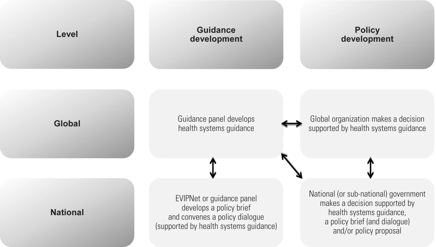 Potential links between guidance and policy development at global and national levels.