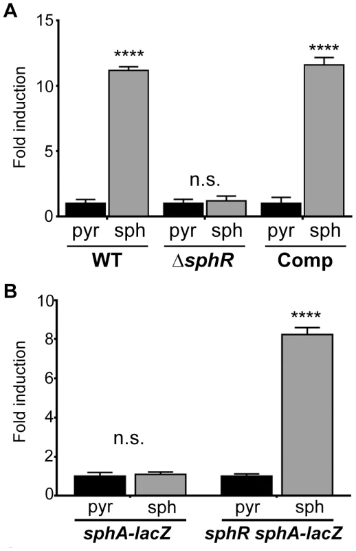 The transcription regulator SphR (PA5324) controls <i>sphA</i> induction in response to sphingosine.