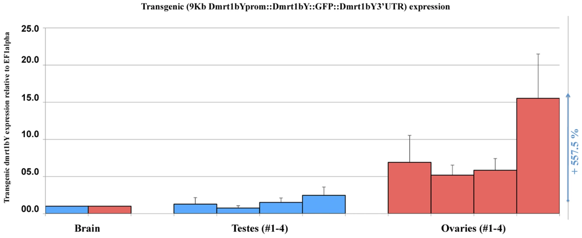 <i>In vivo</i> quantification of the 9KbDmrt1bYpromoter activity in transgenic fish.