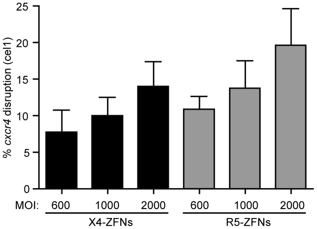 ZFNs can efficiently disrupt <i>ccr5</i> and <i>cxcr4</i> in rhesus macaque CD4+ T cells.