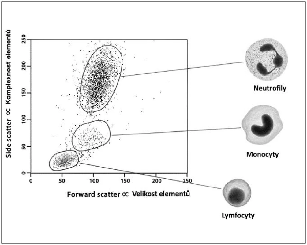 Ilustrativní ukázka dvoudimenzionální kvantitativní FCM analýzy – „cell sorting“