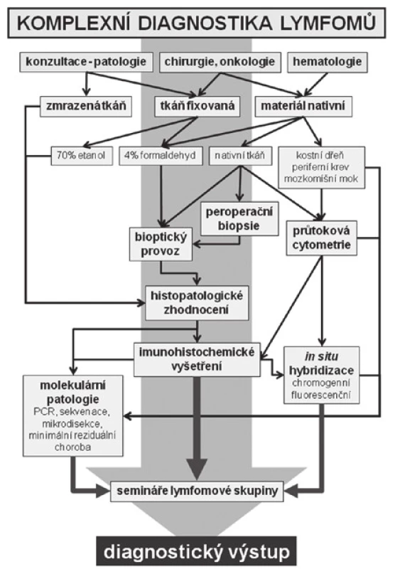 Schéma komplexního přístupu k vyšetřování lymfomů na Ústavu patologie a molekulární medicíny 2. LF UK a FN v Motole Praha.