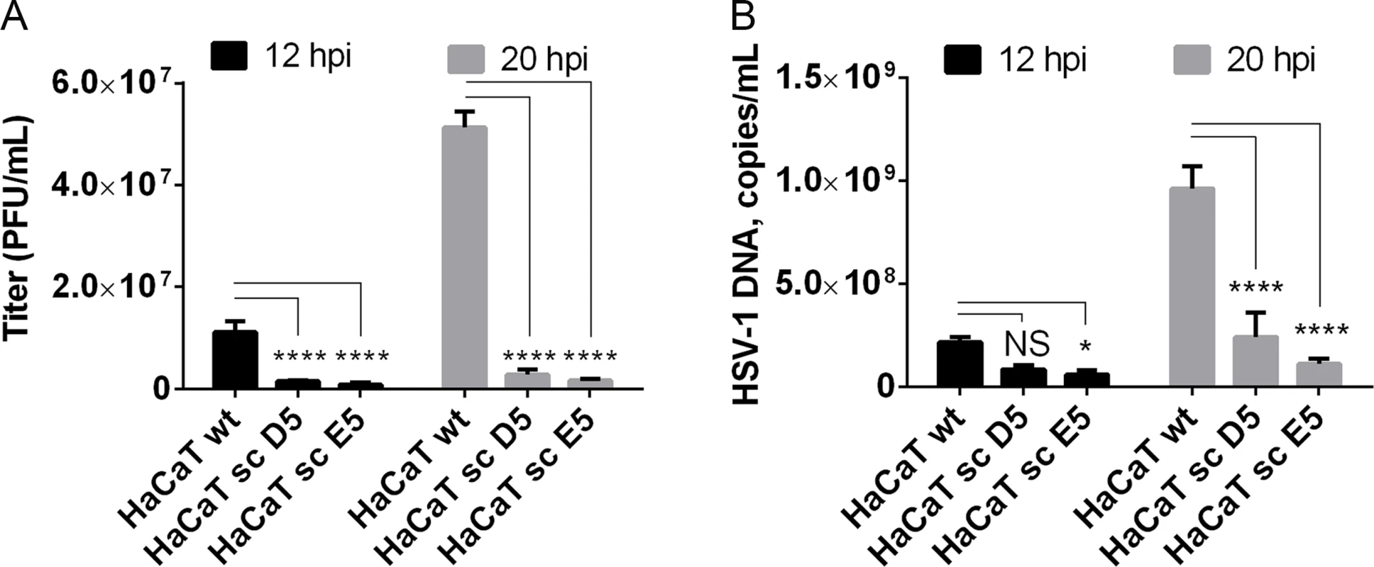Elongation of O-linked glycans affects HSV-1 secretion/infectivity.