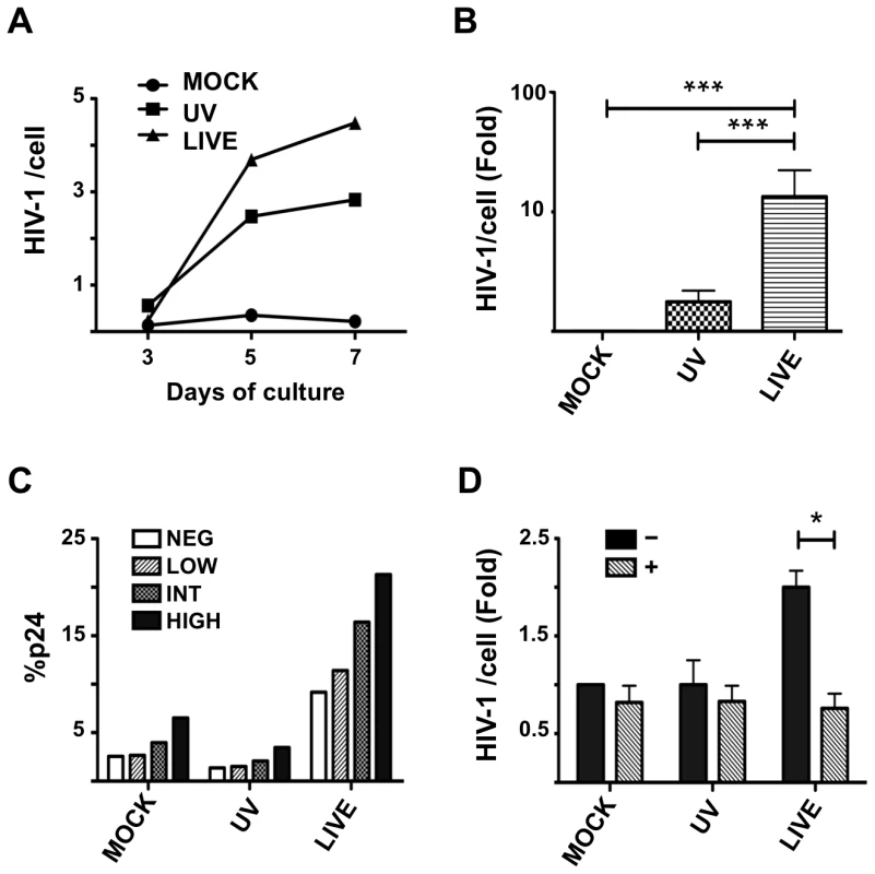 HSV-2 infection enhances HIV-1 replication in a RA-dependent manner.