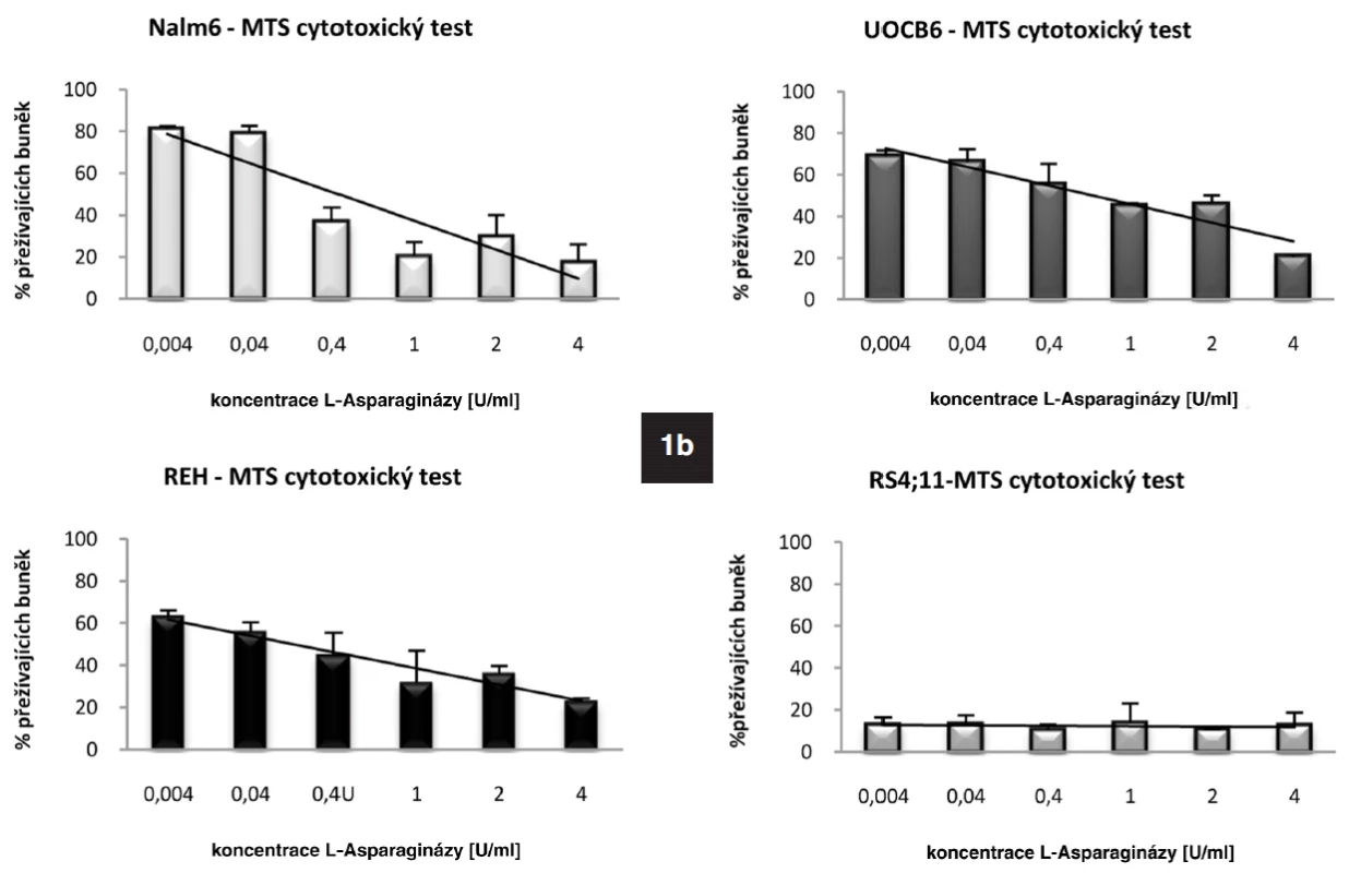 1a. Rozdílná bazální hladina genu pro ASNS u ALL buněčných linií stanovená pomoci qRT-PCR. Množství proteinu ASNS detekované metodou Western Blot.
1b. Výsledek MTS cytotoxického testu ukazující rozdílnou citlivost jednotlivých buněčných linií k L-Asp.
