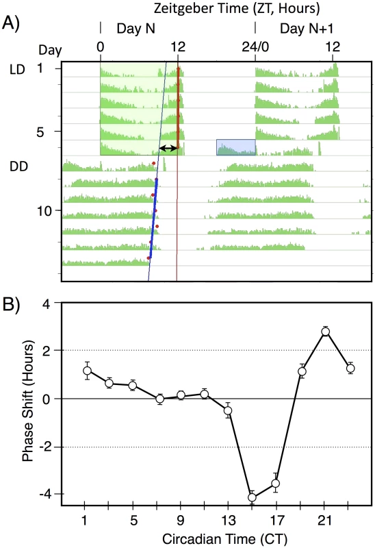 A double-plotted median actogram illustrating the basic paradigm used in this manuscript (A), and a Phase Response Curve (B).