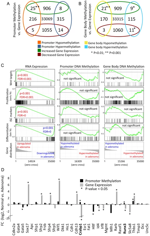 Differential gene methylation and differential gene transcription in adenoma do not correlate extensively.