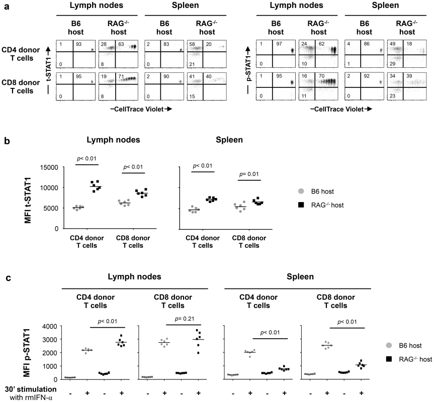 <i>In vivo</i> exposure to lymphopenic conditions enhances t-STAT1 expression and IFN-α responsiveness.