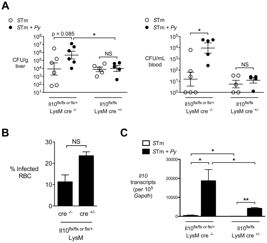 Macrophage/neutrophil derived IL-10 contributes to increased systemic <i>S.</i> Typhimurium burden during concurrent malaria parasite infection.