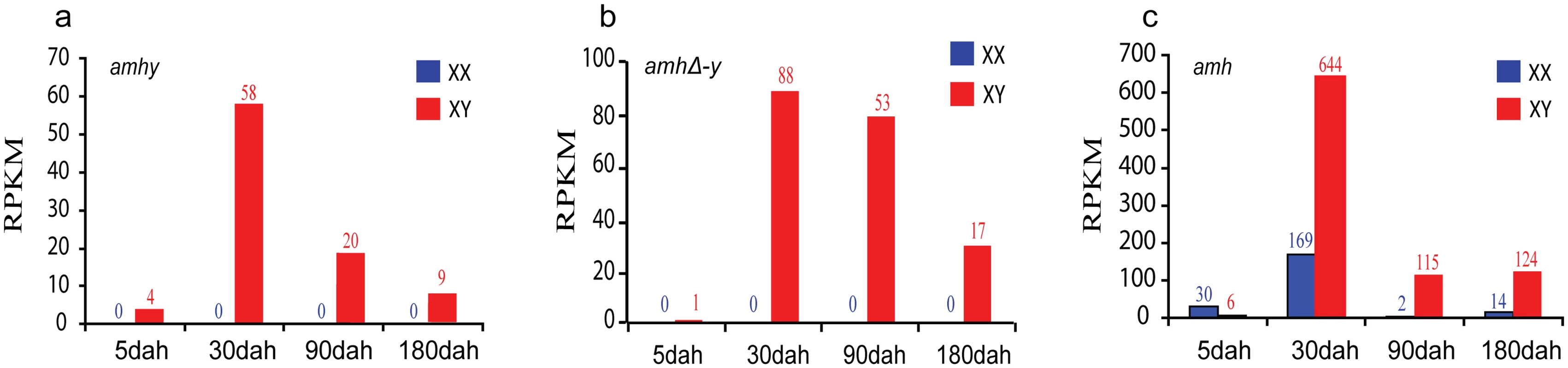 Expression profiles of <i>amhy</i>, <i>amhΔ-y</i> and <i>amh</i> by transcriptome analysis.