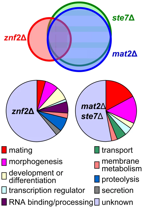 Gene expression profiles of <i>ste7</i>Δ, <i>mat2</i>Δ, and <i>znf2</i>Δ mutants during bilateral mating.