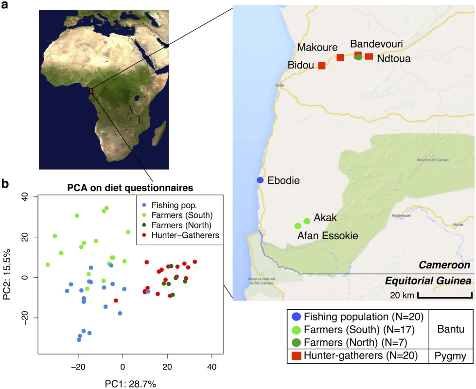 (a) Map showing the geographic locations of the villages sampled in Southwest Cameroon, the number of samples (N) collected for each subsistence group (the fishing population, farmers from the South, farmers from the North, and hunter-gatherers), and their genetic ancestry (Bantu or Pygmy).