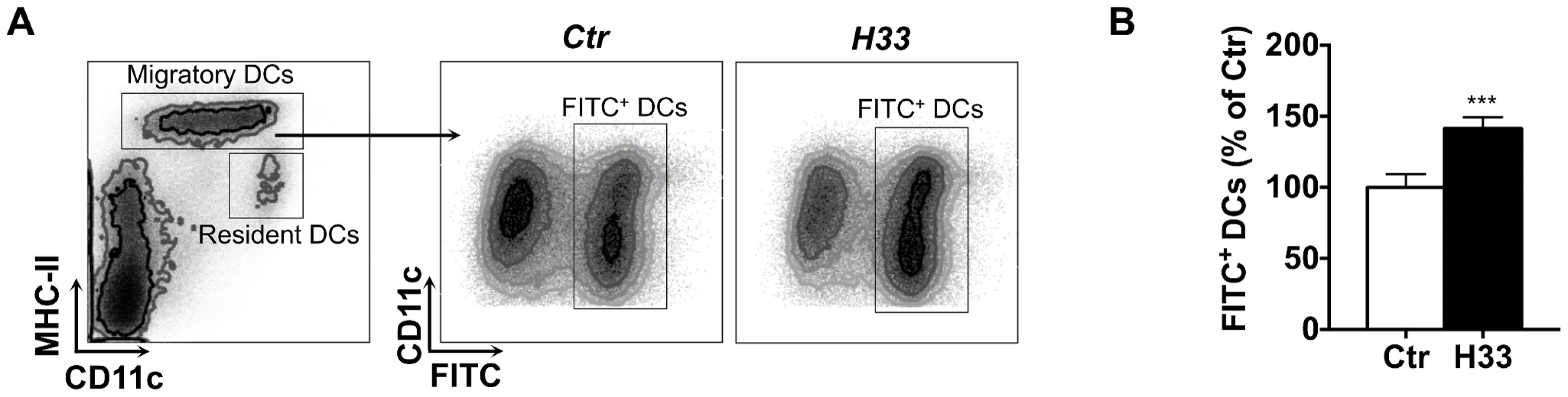 Blocking JAM-C increases the number of DCs migrating to the draining lymph node.
