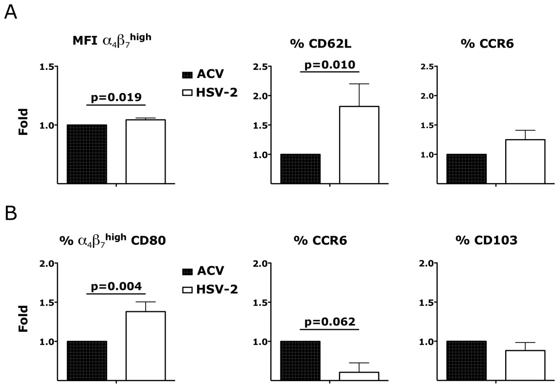 HSV-2 modulates the phenotype of migratory CD4<sup>+</sup> T cells and CD3<sup>−</sup> HLA-DR<sup>+</sup> cells.
