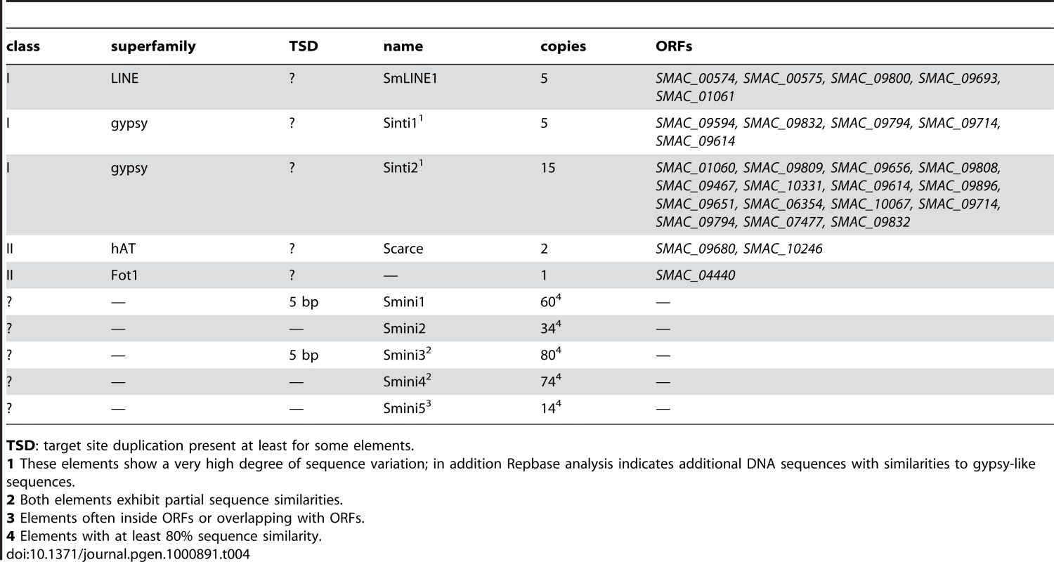 Repeated sequences and transposons in the <i>S. macrospora</i> genome.