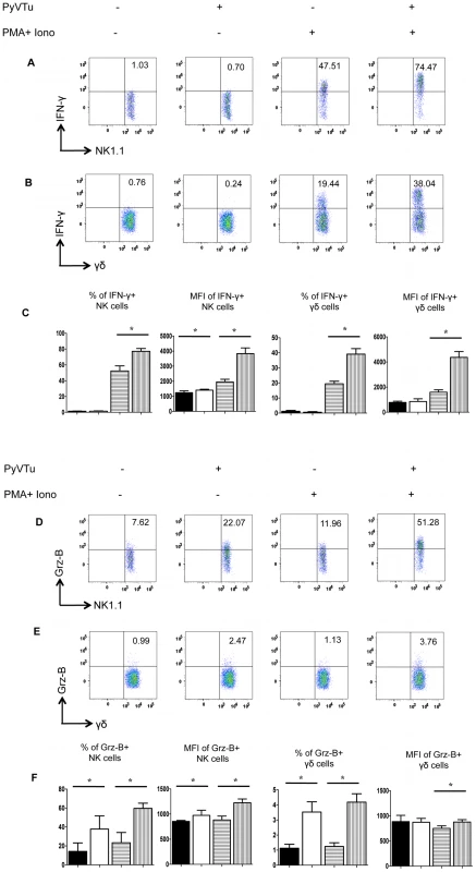 Activation of NK cells and γδ T cells by co-culture with PyVTu cells in vitro.