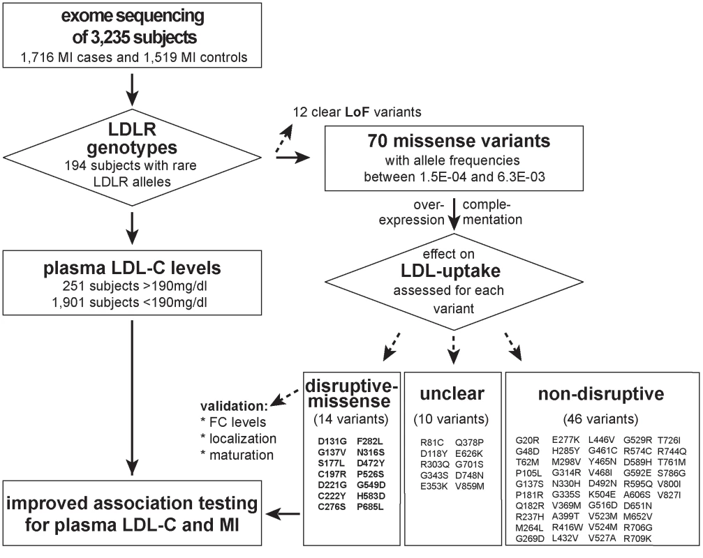 Workflow of this study to determine the functional impact of 70 rare missense variants on LDLR protein activities and improve rare variant association testing for plasma LDL-C and the risk for early-onset MI.