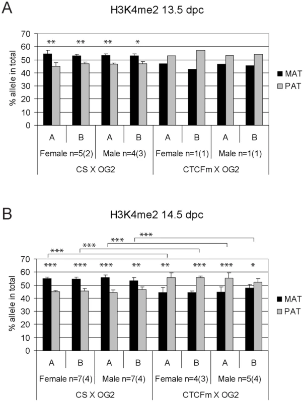 Allele-specific bias in H3K4me2 enrichment at the <i>H19/Igf2</i> ICR in fetal germ cells.