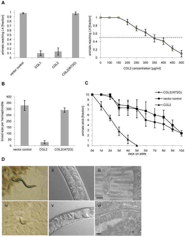 Dose and carbohydrate-binding dependent toxicity of <i>C. cinerea</i> galectin CGL2 towards <i>C. elegans</i>.