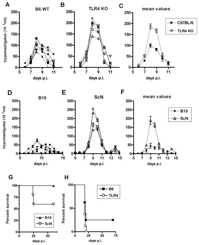 Enhanced susceptibility of <i>Tlr4<sup>−/−</sup></i> mice to infection with <i>T. cruzi</i> parasites.