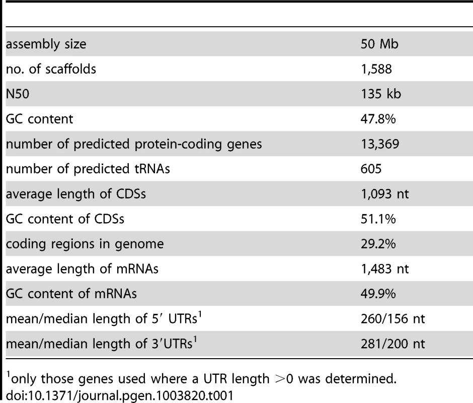 Main features of the <i>P. confluens</i> genome.