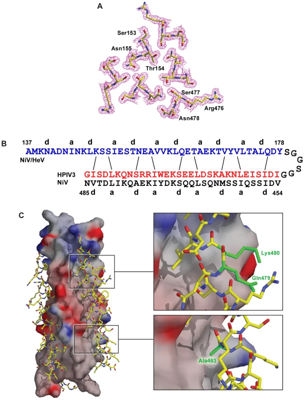 Crystal structure of the chimeric six-helix bundle formed by the NiV/HeV HRN segment N42 and the HPIV3 HRC segment C32.