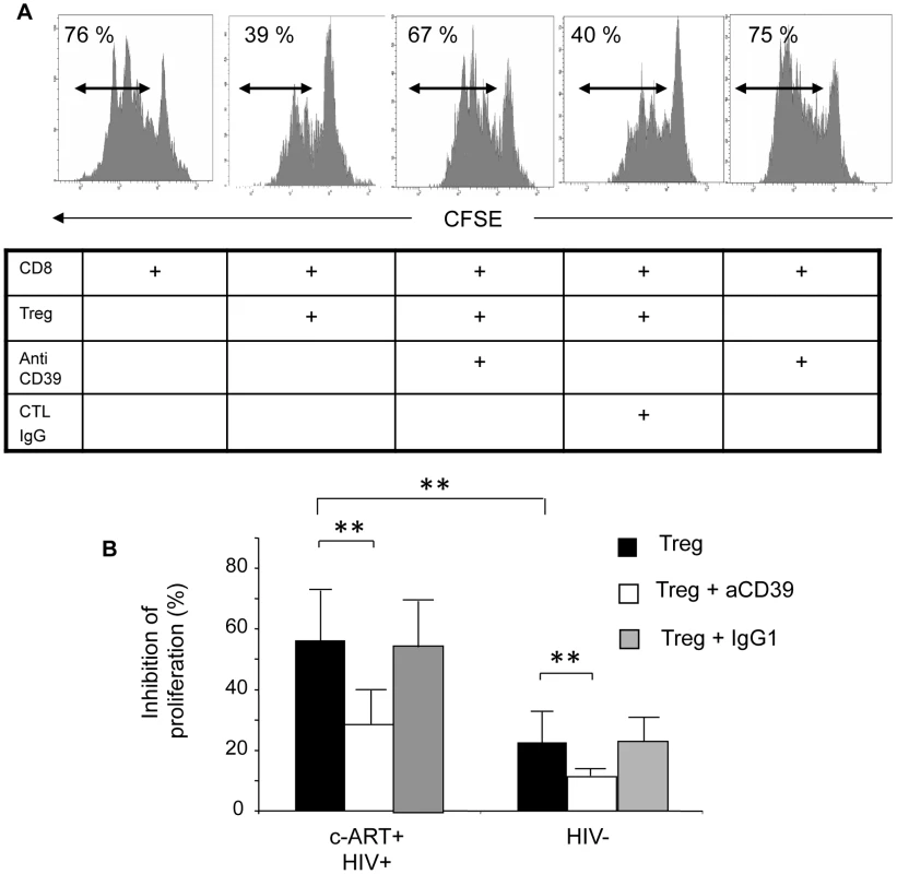 CD39 blocking mAb reverses the suppressive effect of Treg on the proliferation of anti-CD3 stimulated CD8+ T cells.