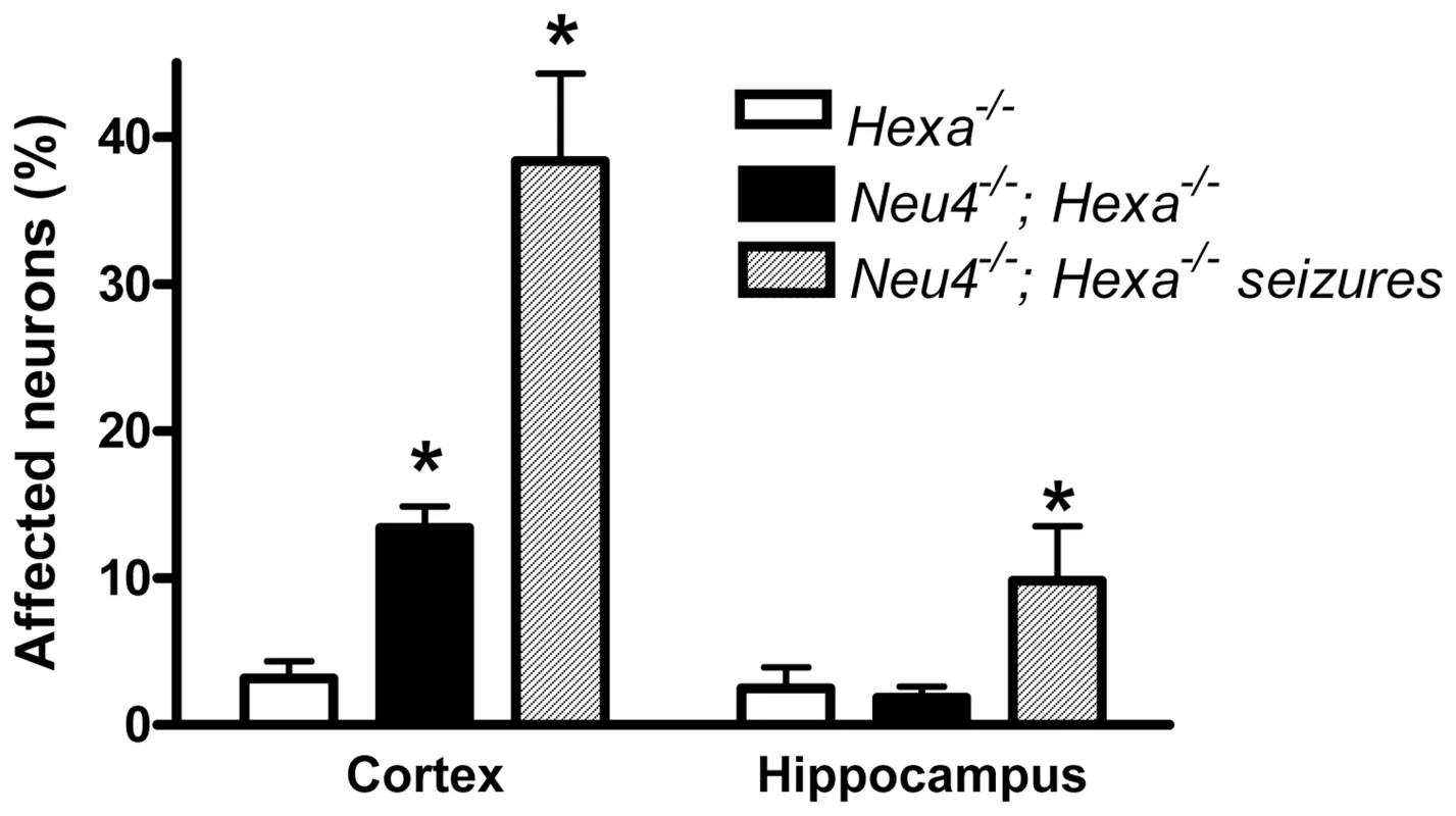 Percent of affected neurons in cortex and hippocampus.