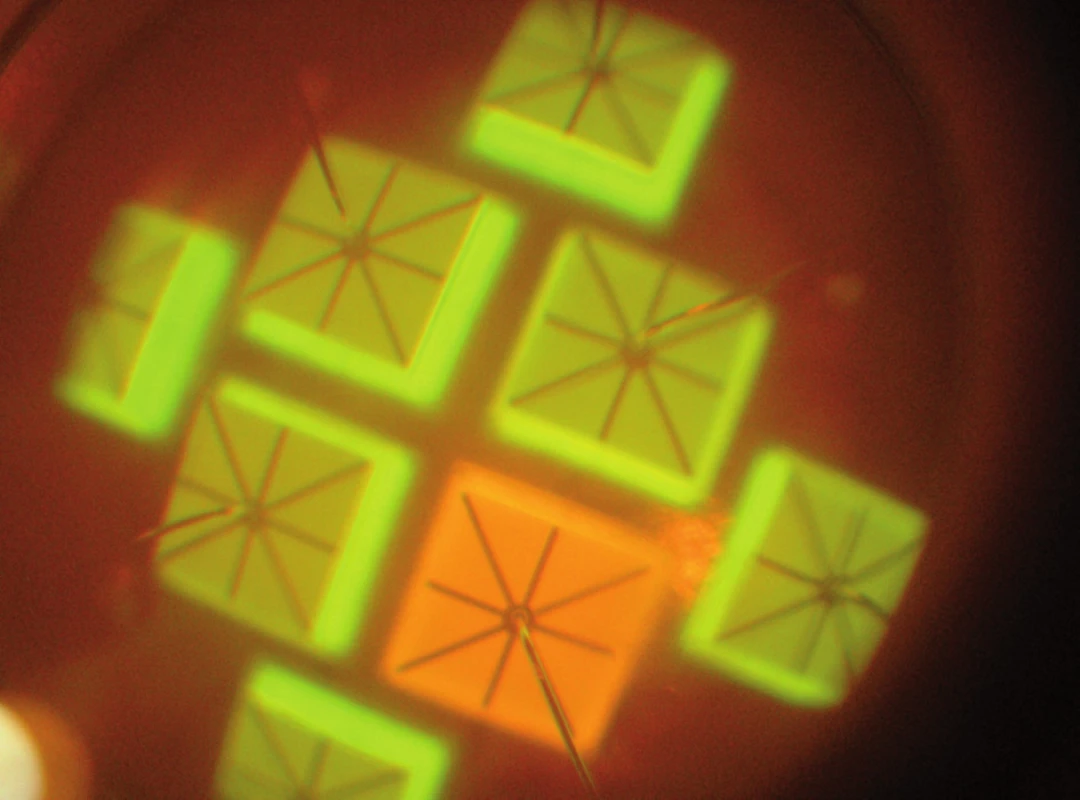 Diodové pole lampy osazené dvěma typy diod s emisí v různých oblastech spektra. Lampa G-Light, oranžový filtr.