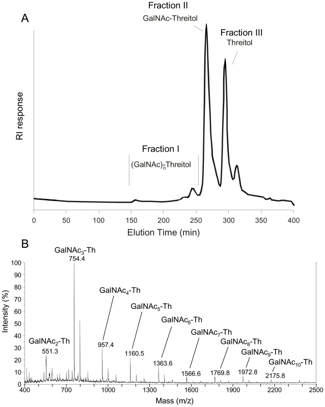 Analysis of periodate-oxidized galactosaminogalactan of <i>A. fumigatus</i>.
