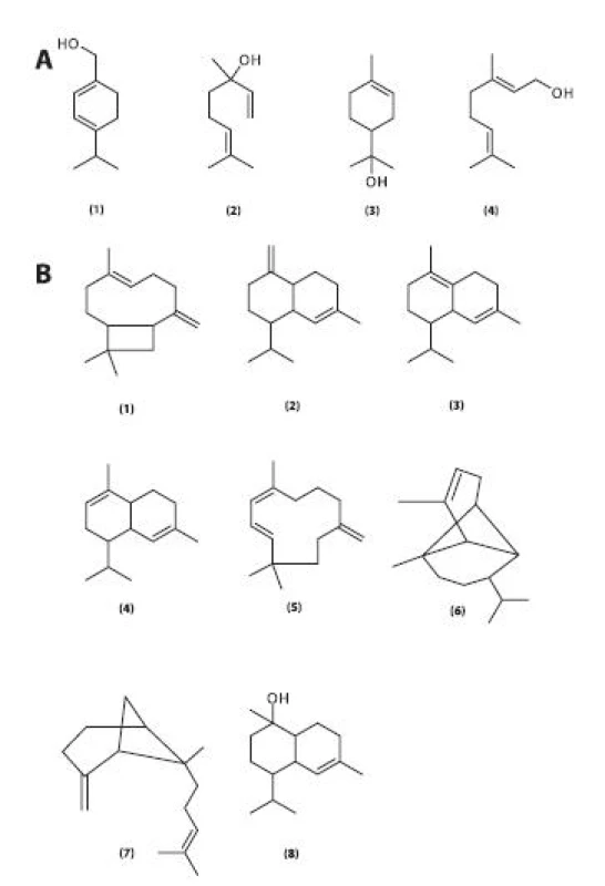Monoterpenické alkoholy obsažené v silici listů R. hirta (A)
1 – p-menthadien-7-ol, 2 – linalool, 3 – terpineol, 4 – geraniol Seskviterpenické sloučeniny obsažené v silici listů R. hirta (B) Seskviterpenické uhlovodíky (sloučeniny 1–7): 1 – karyofylen, γ –∂δ-kadinen, 3 – δ-kadinen, 4 – α-muurolen, 5 – α-humulen, 6 – α-kopaen, 7 – α-trans-ß-bergamoten
Seskviterpenické alkoholy: 8 – torreyol
