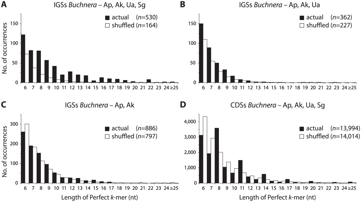 Actual and expected distributions of conserved <i>k</i>-mers in IGSs and CDs.