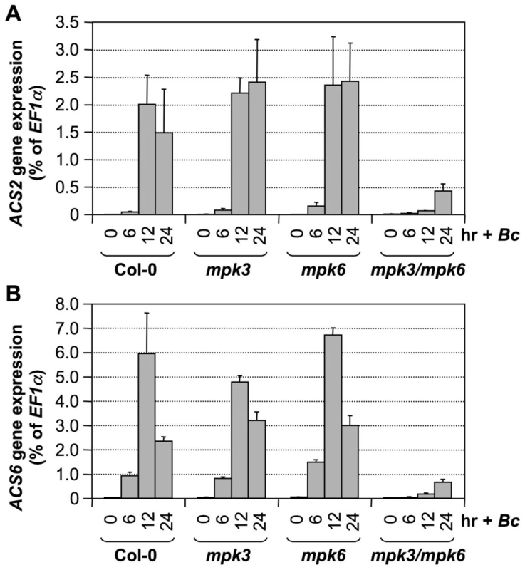 <i>B. cinerea</i> induced <i>ACS2</i> and <i>ACS6</i> gene activation is dependent on functional MPK3 and MPK6.