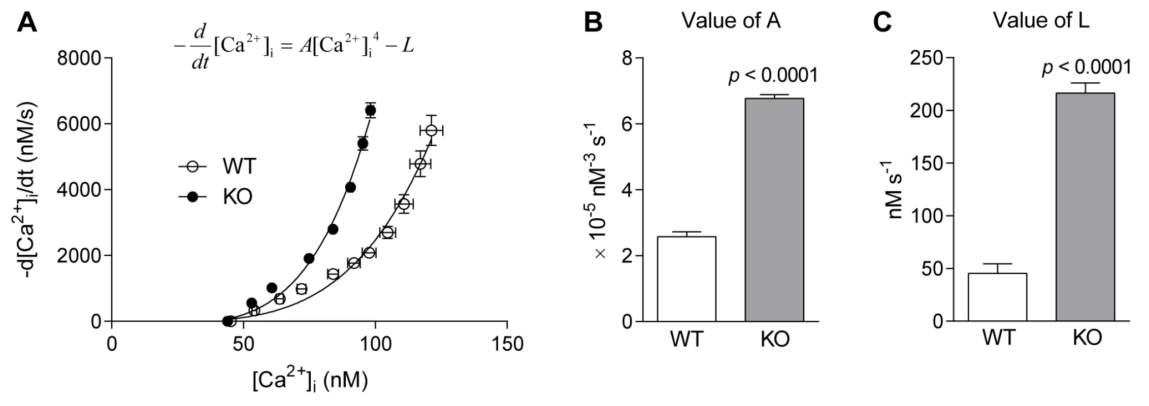 SR pump function in FDB fibres of WT and <i>Actn3</i> KO mice.