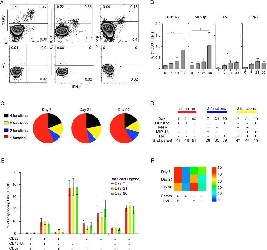 Functional profile of TBEV-specific effector and memory CD8 T cell responses.