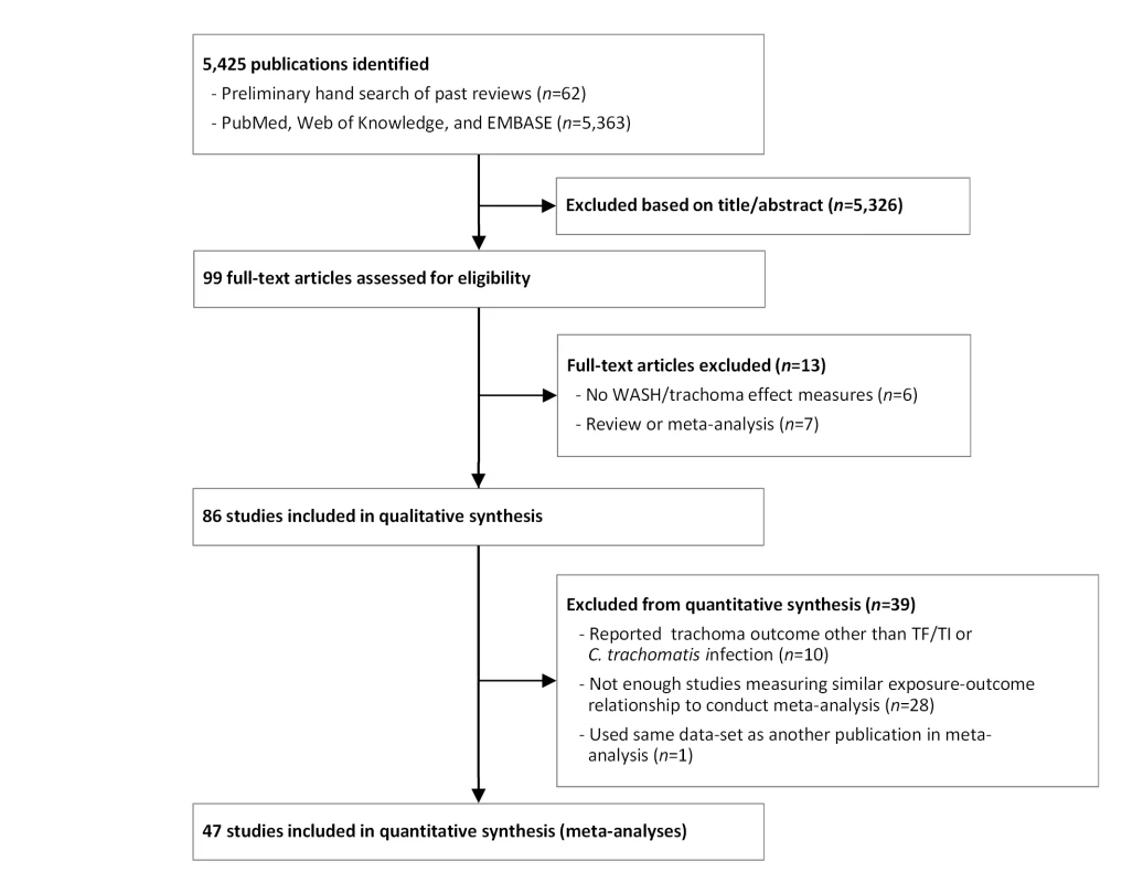 Flow chart of publications identified and excluded for this review.