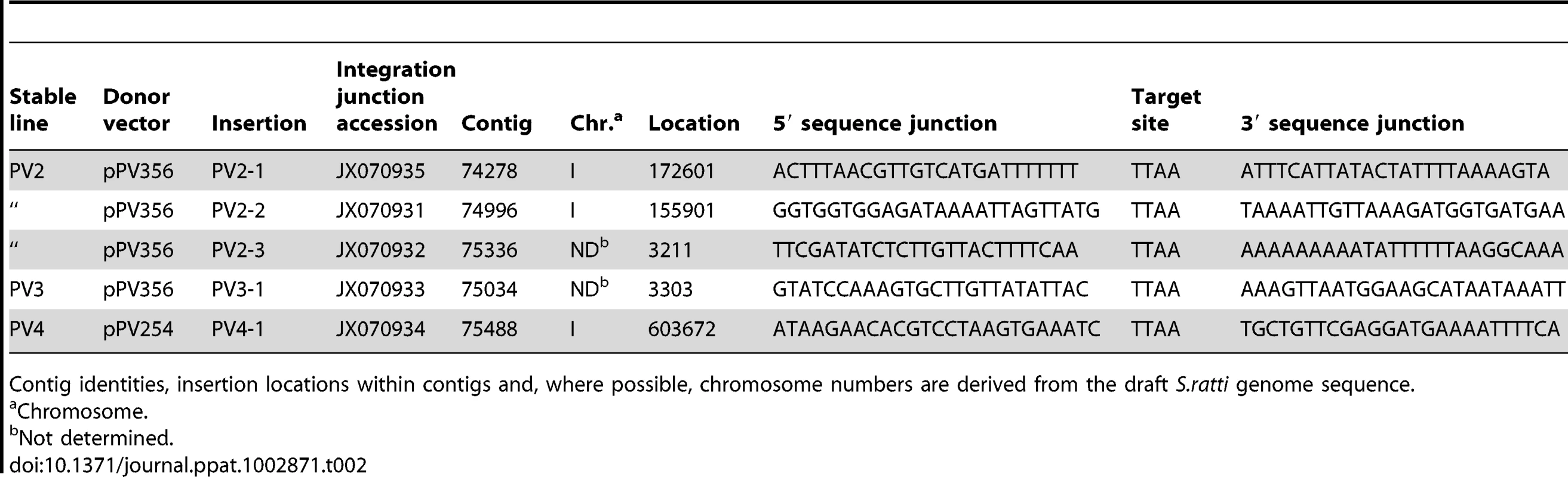 Genomic integration sites for reporter transgenes and their flanking sequences in three stable transgenic lines of <i>Strongyloides ratti</i>.
