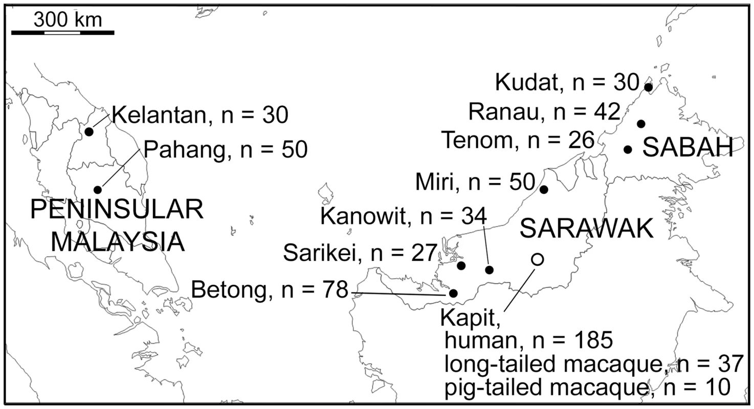 Map of sampling locations of 599 <i>P</i>. <i>knowlesi</i> infections genotyped in this study.