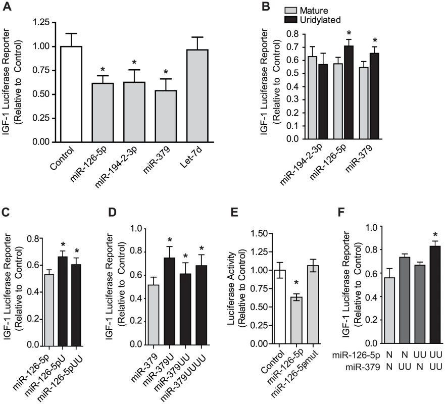 Uridylation of select miRNAs relieves silencing of the IGF-1 3′ UTR.
