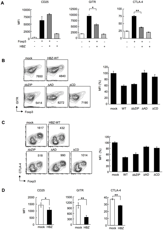 HBZ inhibites Foxp3-mediated CTLA-4 and GITR expression <i>in vitro</i>.