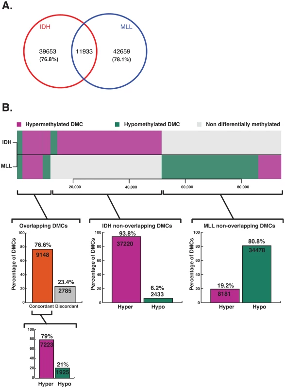 Aberrant methylation targets a minimally overlapping set of CpGs in IDH-mut and MLLr AMLs.
