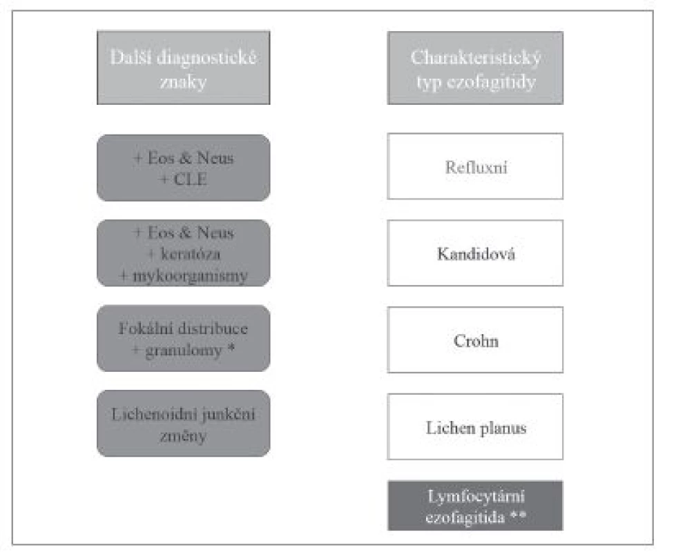 Diferenciální diagnostika ezofagitid s dominantním lymfocytárním typem zánětlivého infiltrátu. Eos – příměs eozinofilních granulocytů, Neus – příměs neutrofilních granulocytů, CLE – kolumnární metaplázie sliznice jícnu (columnar-lined esophagus, CLE).