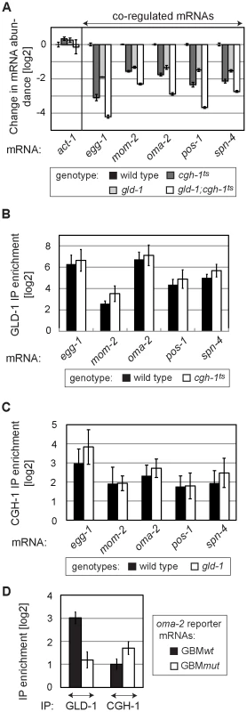 GLD-1 and CGH-1 stabilize mRNAs independently of each other.