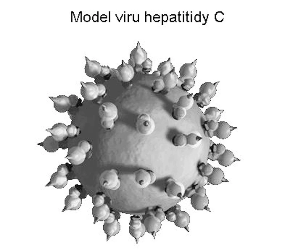 Virus hepatitidy C.