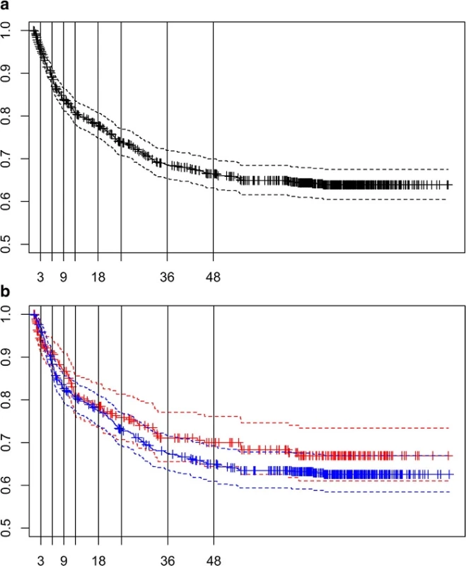 Survival function (solid line) and 95 % CI (dotted lines) of the time to recurrence (TFR) for the whole series (A) and according to the group of risk (B: HiR in red and LR in blue). Vertical lines separate the 9 time intervals considered for this outcome