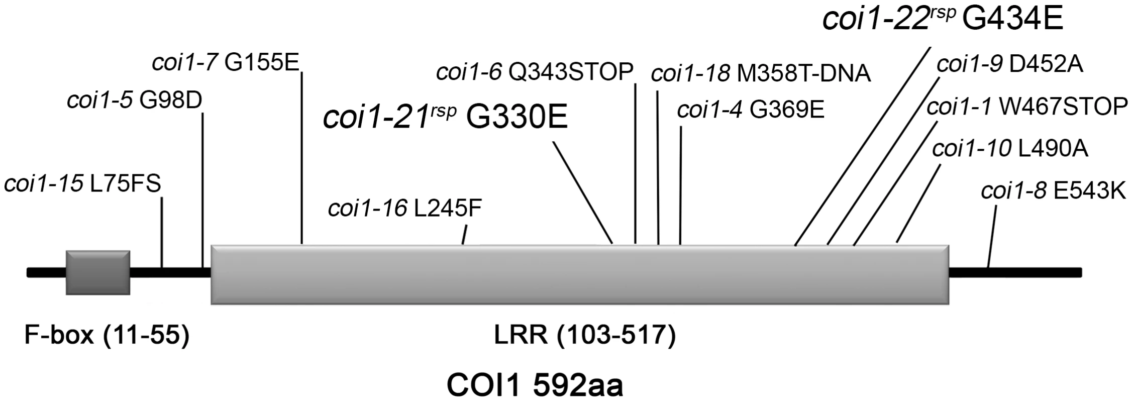 Mutations identified in COI1.