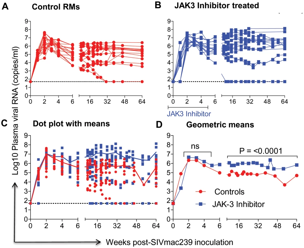Aliquots of plasma samples from each of the 16 control monkeys and the 15 monkeys that received the JAK3 inhibitor were assayed for viral loads post SIVmac239 infection.