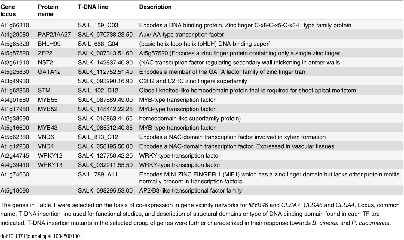 List of genes encoding the selected TFs.