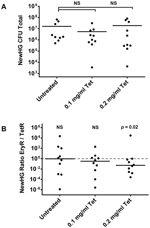 The effect of sub-curative antibiotic doses on mice infected with <i>S. aureus</i> NewHG.